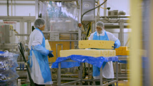 cheese-manufacturing
